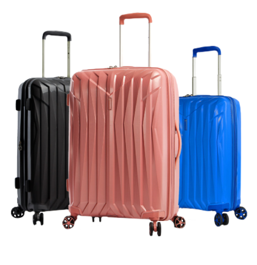 Valise de cabine